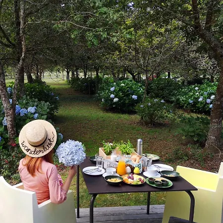 מלון Forest Living 4*