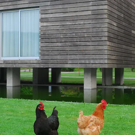 酒店 Forest Living