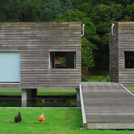 Forest Living Hotel 4*