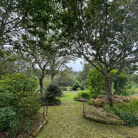 מלון Forest Living 4*