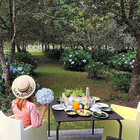 Forest Living Furnas (Azores)