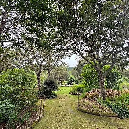 Forest Living Furnas (Azores)