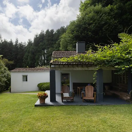 Forest Living Hotel 4*