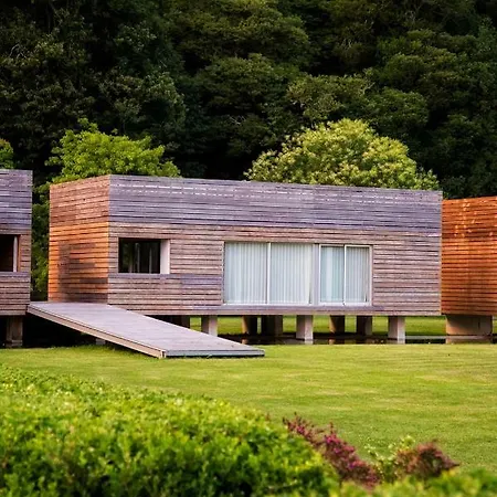 Forest Living