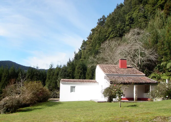 Hotel Forest Living 4*