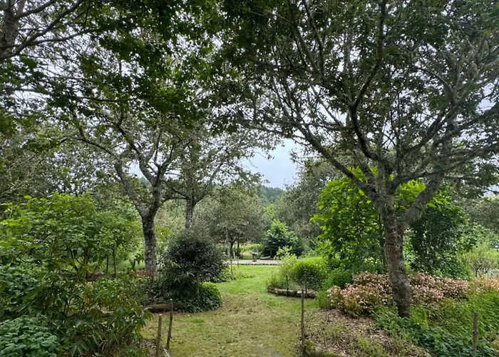 Hotel Forest Living 4*